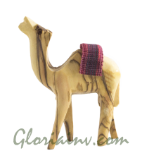 Camel 9 cm with Red